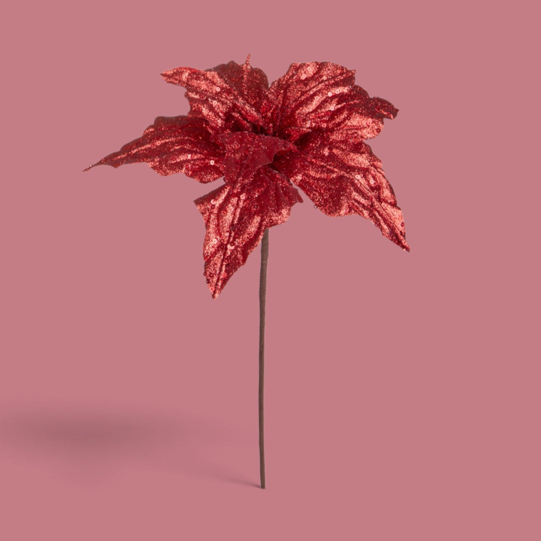 Pezzi 12 • Stella natale con gl. e paillet • H 50 cm