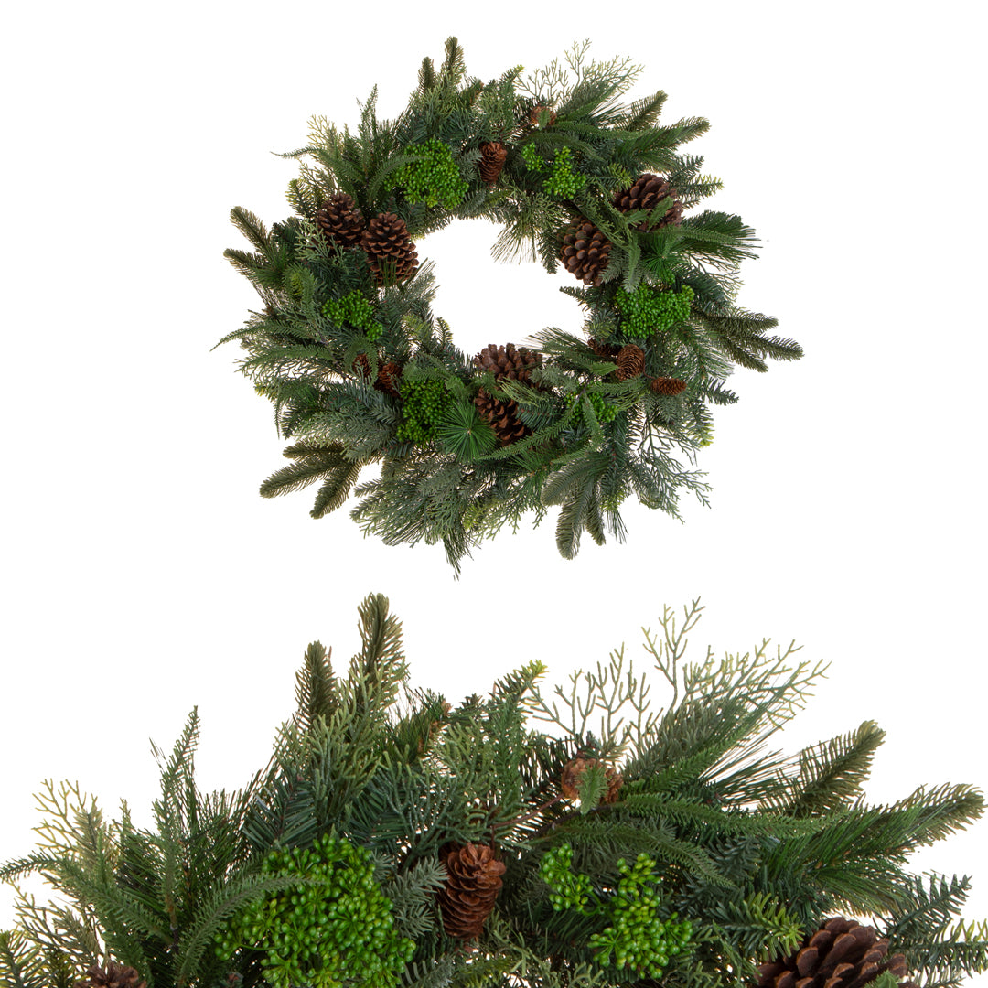 Corona DGreen Pine • 10 cm