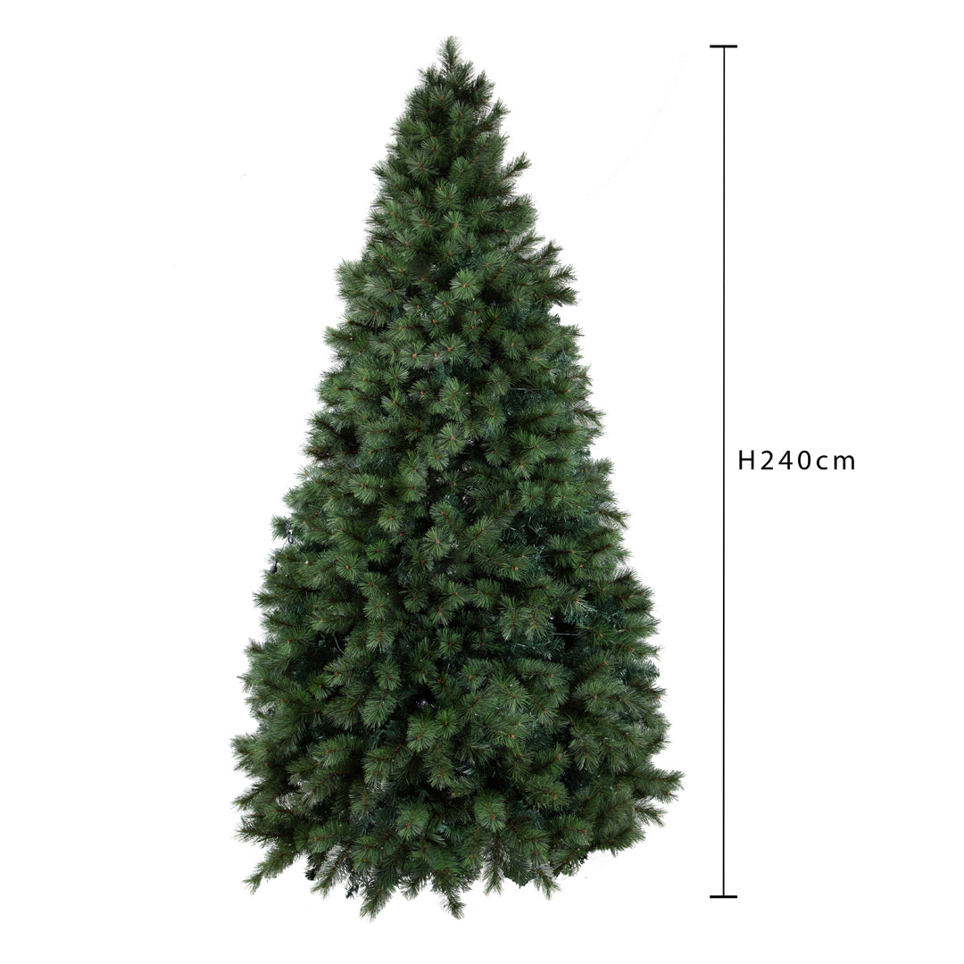 245Ab.colorado needle 1728t • H 240 cm