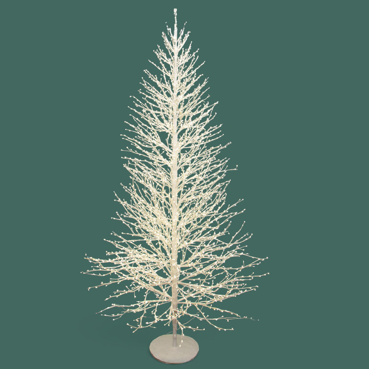 Faggio con 3850 led con flash • H 270 cm