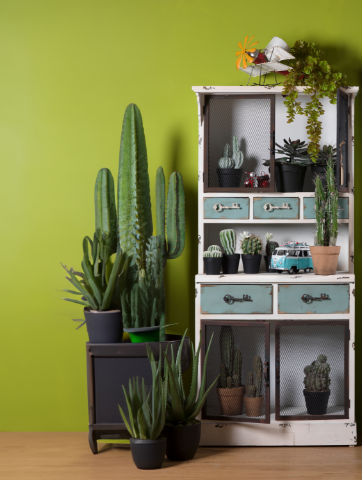 Decorazioni casa