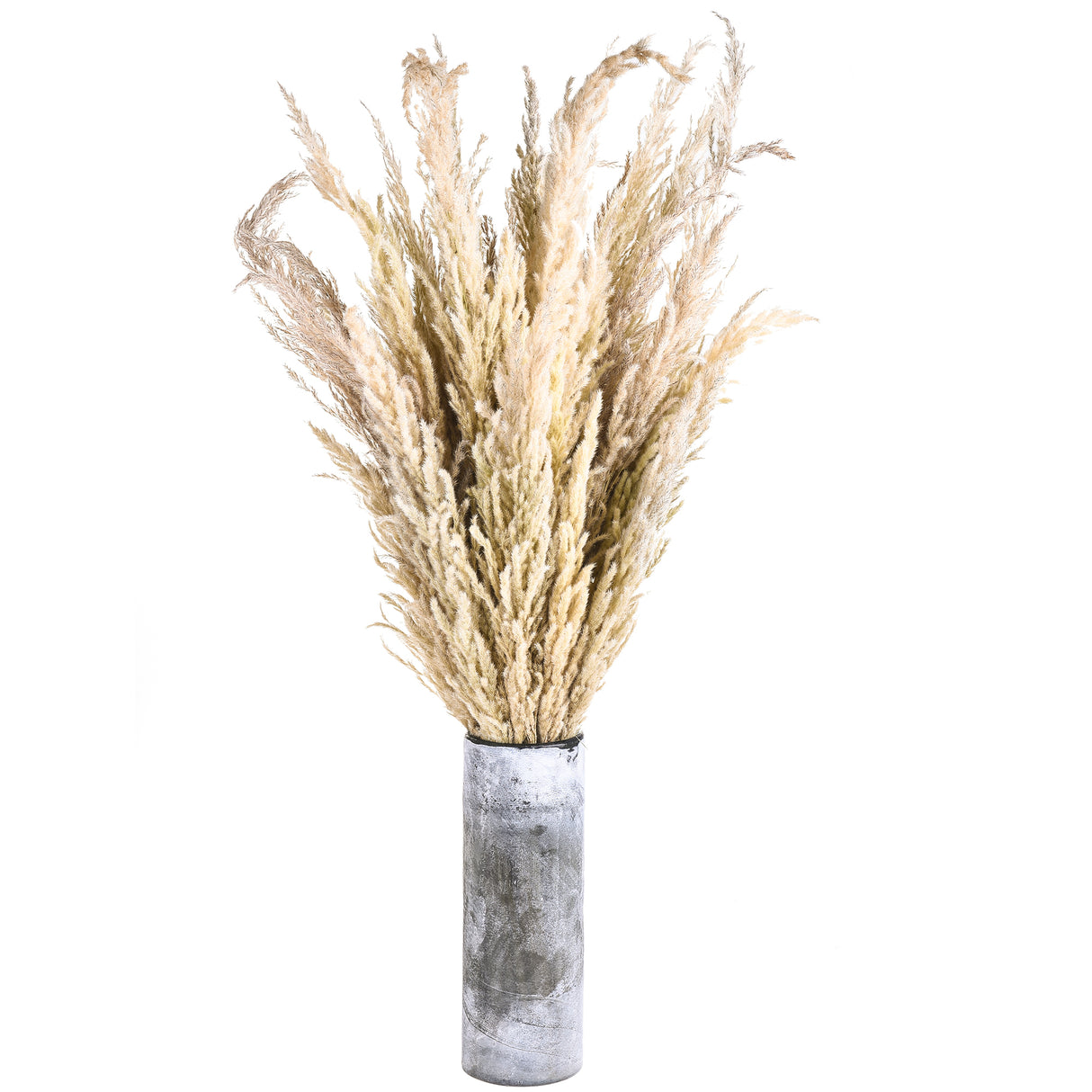 20 Pezzi • Piume Eryanthus naturale • 115 cm