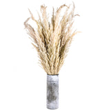 20 Pezzi • Piume Eryanthus naturale • 115 cm