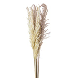 20 Pezzi • Piume Eryanthus naturale • 115 cm
