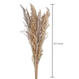 20 Pezzi • Piume Eryanthus naturale • 115 cm