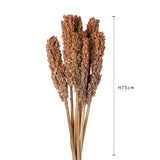 Sorgo naturale • 75 cm