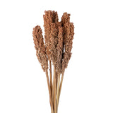 Sorgo naturale • 75 cm