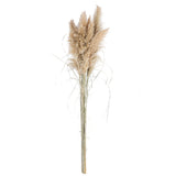 6 Pezzi • Pampas Grande naturale • 170