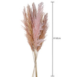 3 Pezzi • Pampas naturale • 110