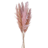 3 Pezzi • Pampas naturale • 110