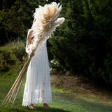 5 Pezzi • Pampas Naturale naturale • 140