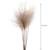 10 Pezzi • Eulalia naturale • 130 cm