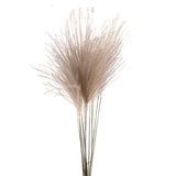 10 Pezzi • Eulalia naturale • 130 cm
