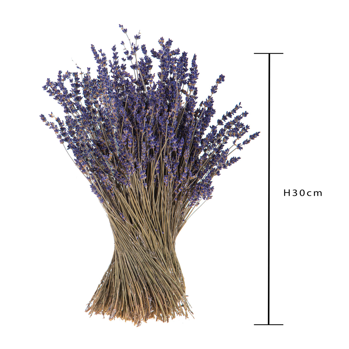 6 Pezzi • Mazzo di lavanda • 40 cm