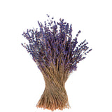 6 Pezzi • Mazzo di lavanda • 40 cm