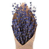 4 Pezzi • Lavanda naturale • 40 cm