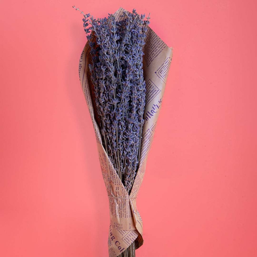 4 Pezzi • Lavanda naturale • 40 cm