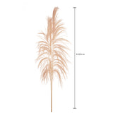 5 Pezzi • Cana Brava naturale • 200 cm