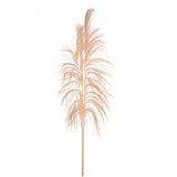 5 Pezzi • Cana Brava naturale • 200 cm