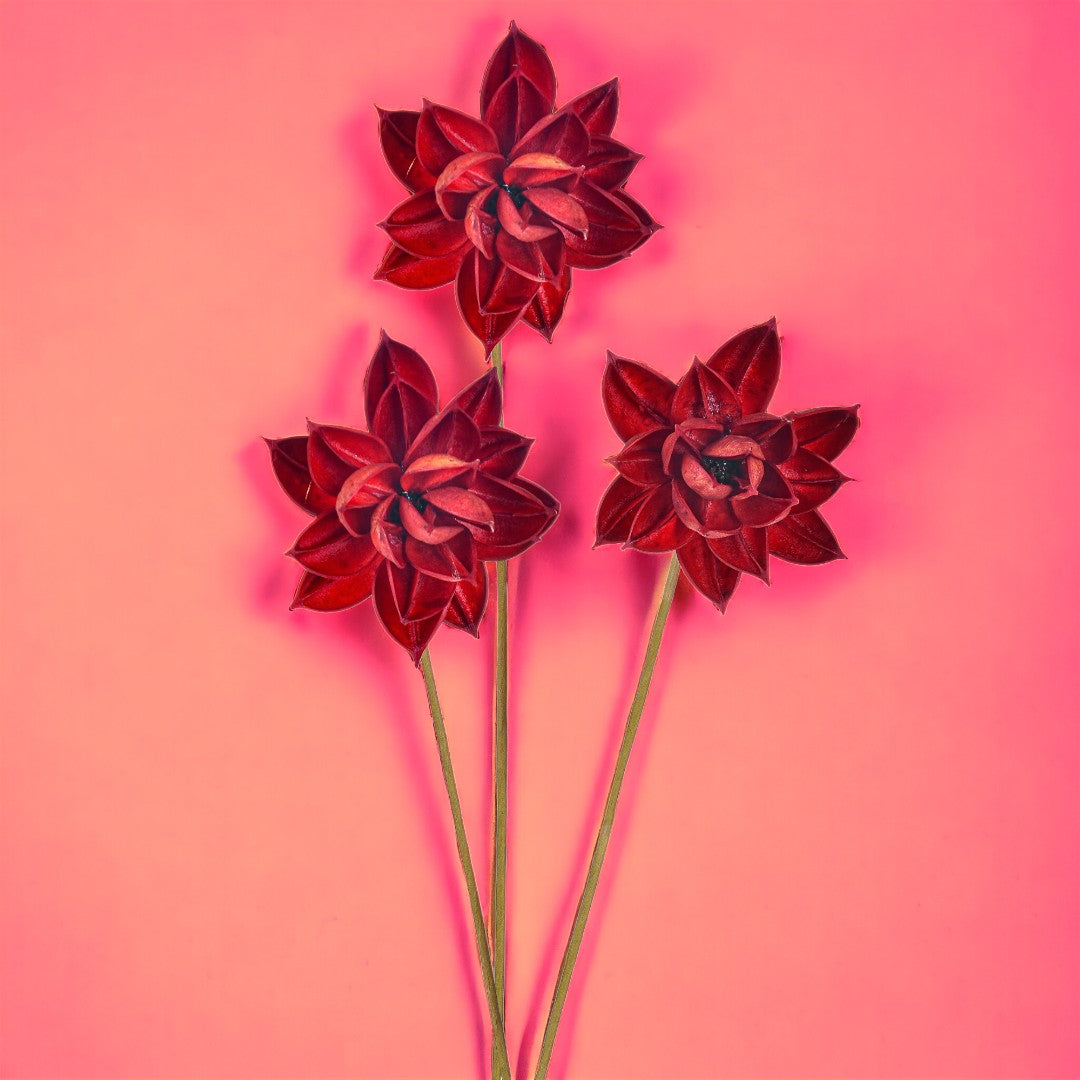 4 Pezzi • Fiore ninfea 15 pezzi • 55 cm