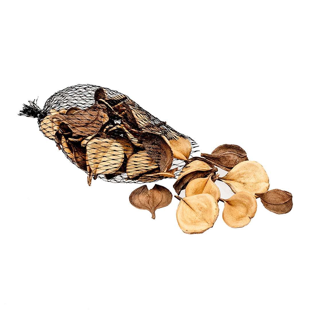 4 Pezzi • Guatambu 50 Pz circa Div+Dop Rete • 5 cm