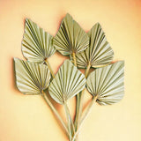 4 Pezzi • Palm spear mini 5 mazzi da 20 pezzi natalizio • 40 cm