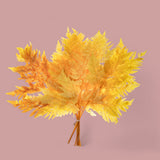 2 Pezzi • Felce 3 mazzi da 10 pezzi colorata preservata • 45 cm