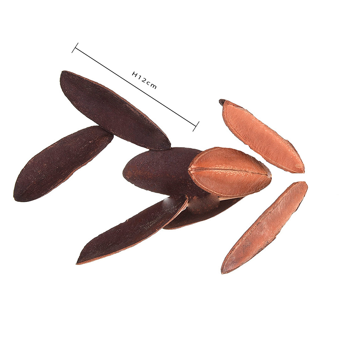 4 Pezzi • Foglia Triangolar 20 Pz in Rete • 12 cm