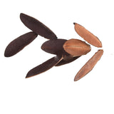 4 Pezzi • Foglia Triangolar 20 Pz in Rete • 12 cm