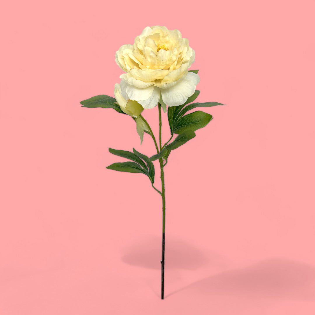 6 Pezzi • Peonia artificiale con 3 fiori • 71 cm