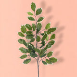 8 Pezzi • Ramo di ficus con 42 foglie artificiale • 60 cm
