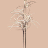 6 Pezzi • Nocciolo In Fiore • 89 cm