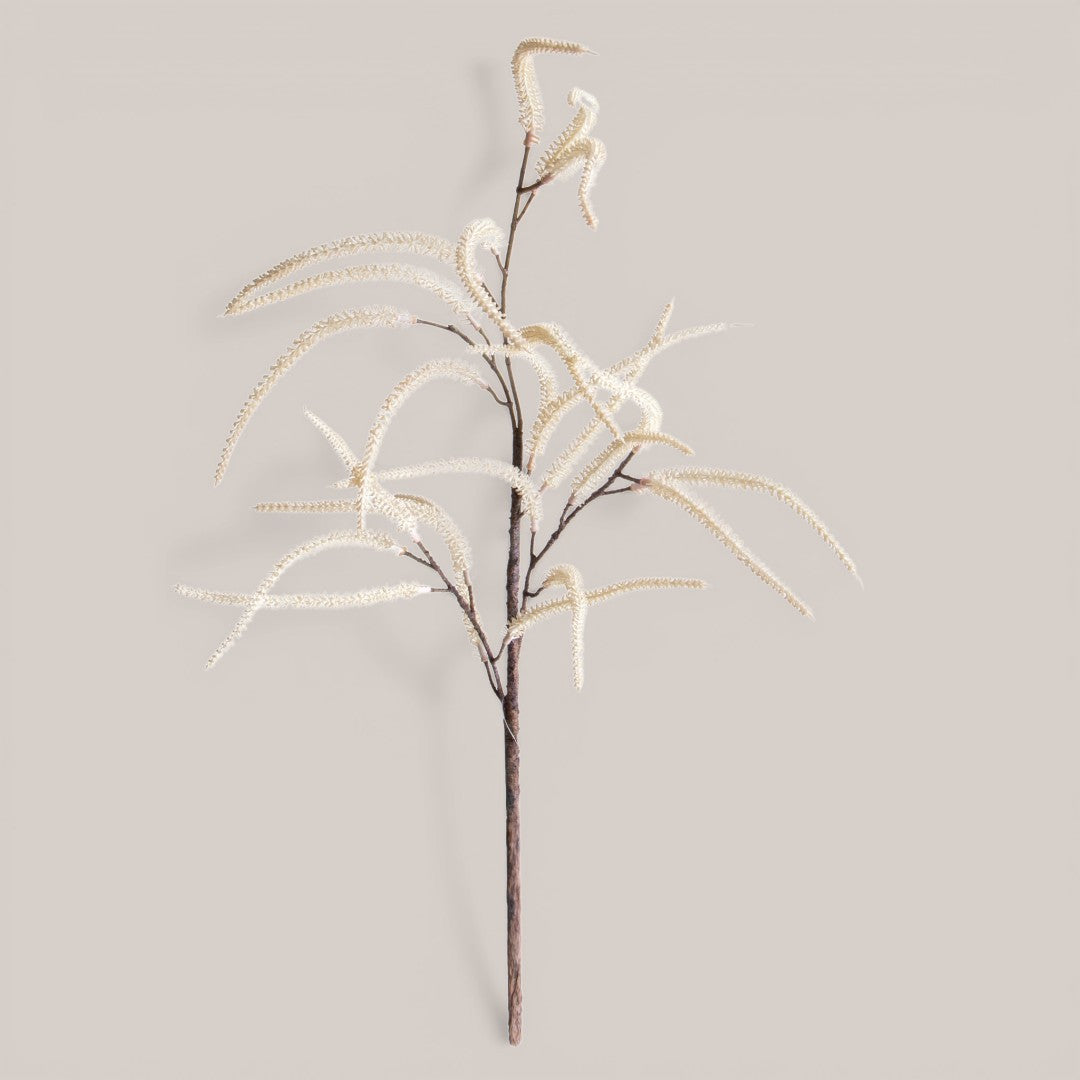 Nocciolo In Fiore • 89 cm