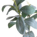 Ramo Salvia • 49cm