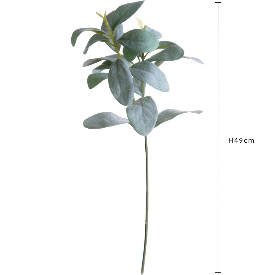 Ramo Salvia • 49cm