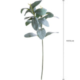 Ramo Salvia • 49cm