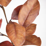Pezzi 12 • Magnolia ramo • H 74 cm
