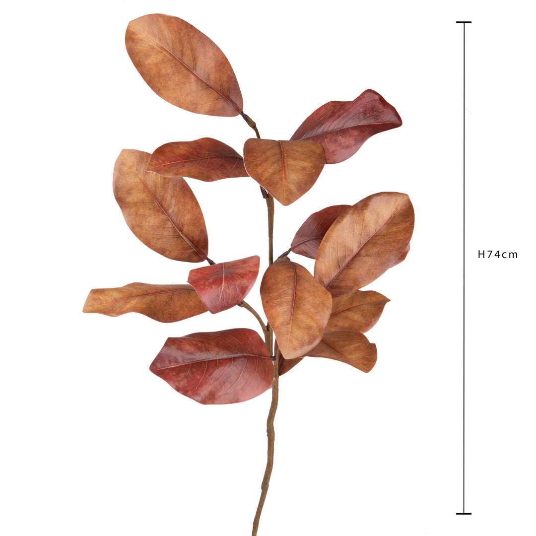 Pezzi 12 • Magnolia ramo • H 74 cm