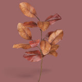 Pezzi 12 • Magnolia ramo • H 74 cm