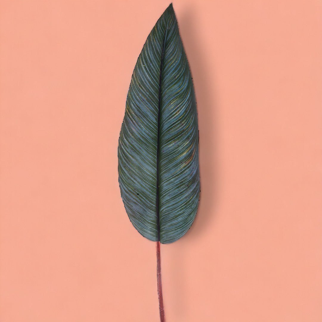4 Pezzi • Foglia di strelitzia artificiale • 83 cm