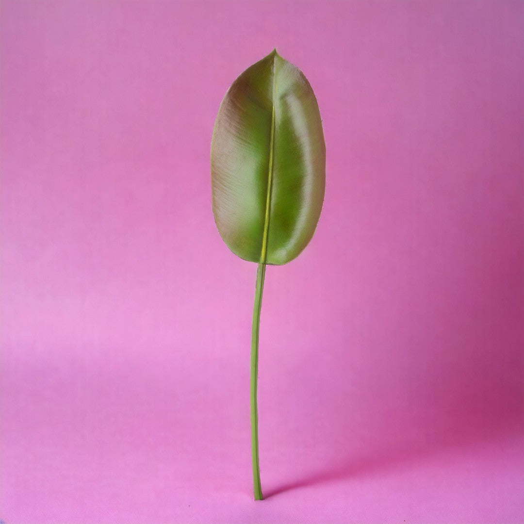 2 Pezzi • Foglia ficus artificiale • 74 cm