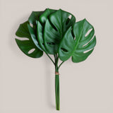 Philodendro 6 pezzi Foglie • 50 cm