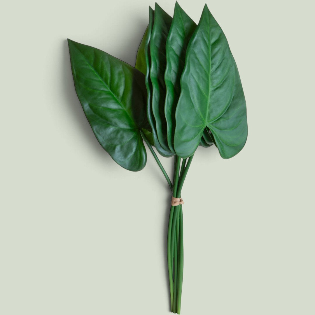 6 Pezzi • Anthurium 6 pezzi Foglie • 50 cm