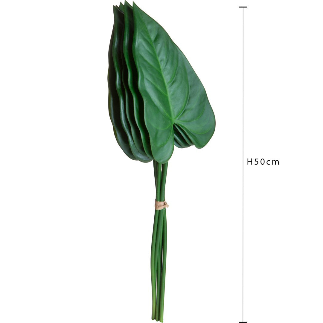 Anthurium 6 pezzi Foglie • 50 cm