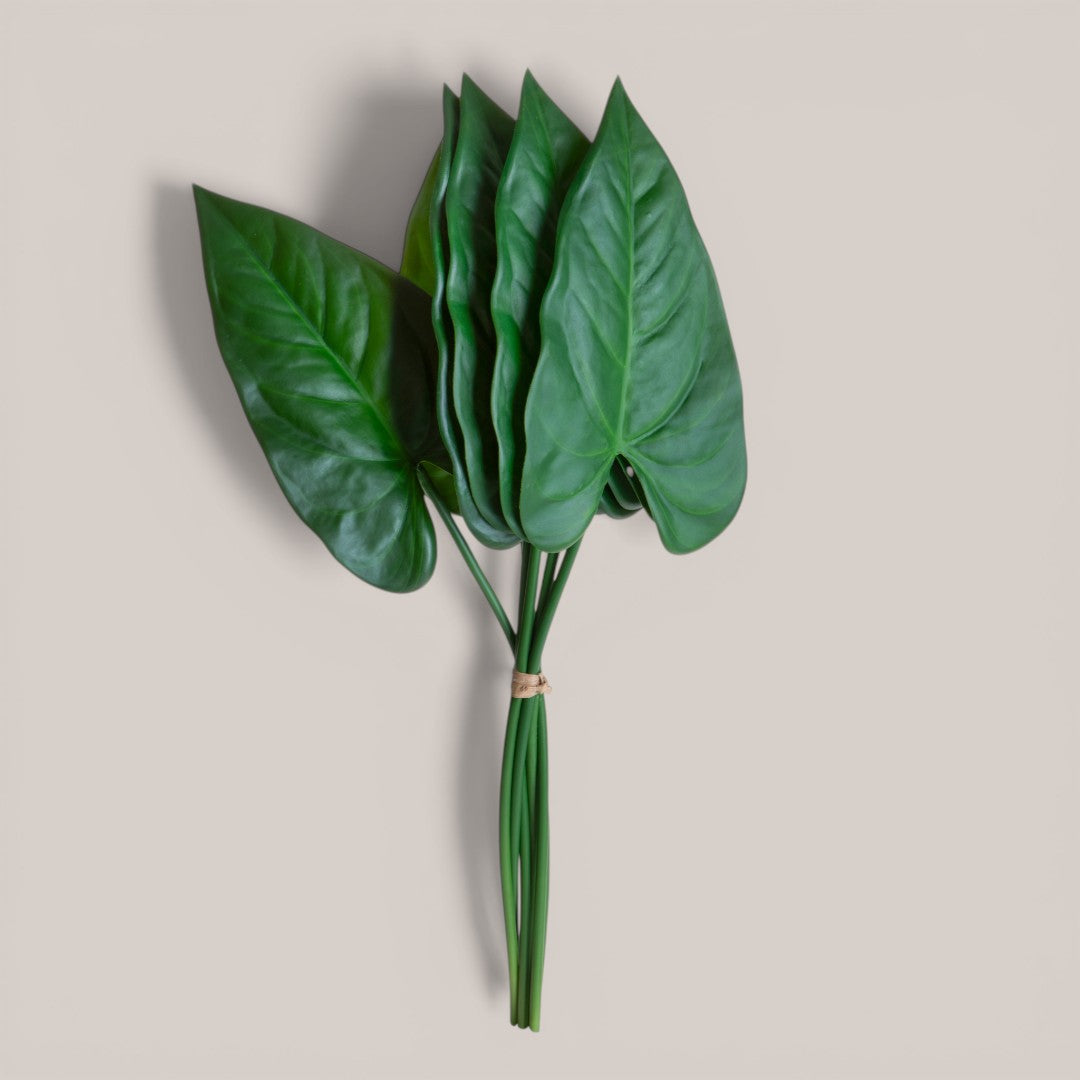 Anthurium 6 pezzi Foglie • 50 cm