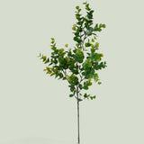 12 Pezzi • Eucalipto Ramo per 3 • 66 cm