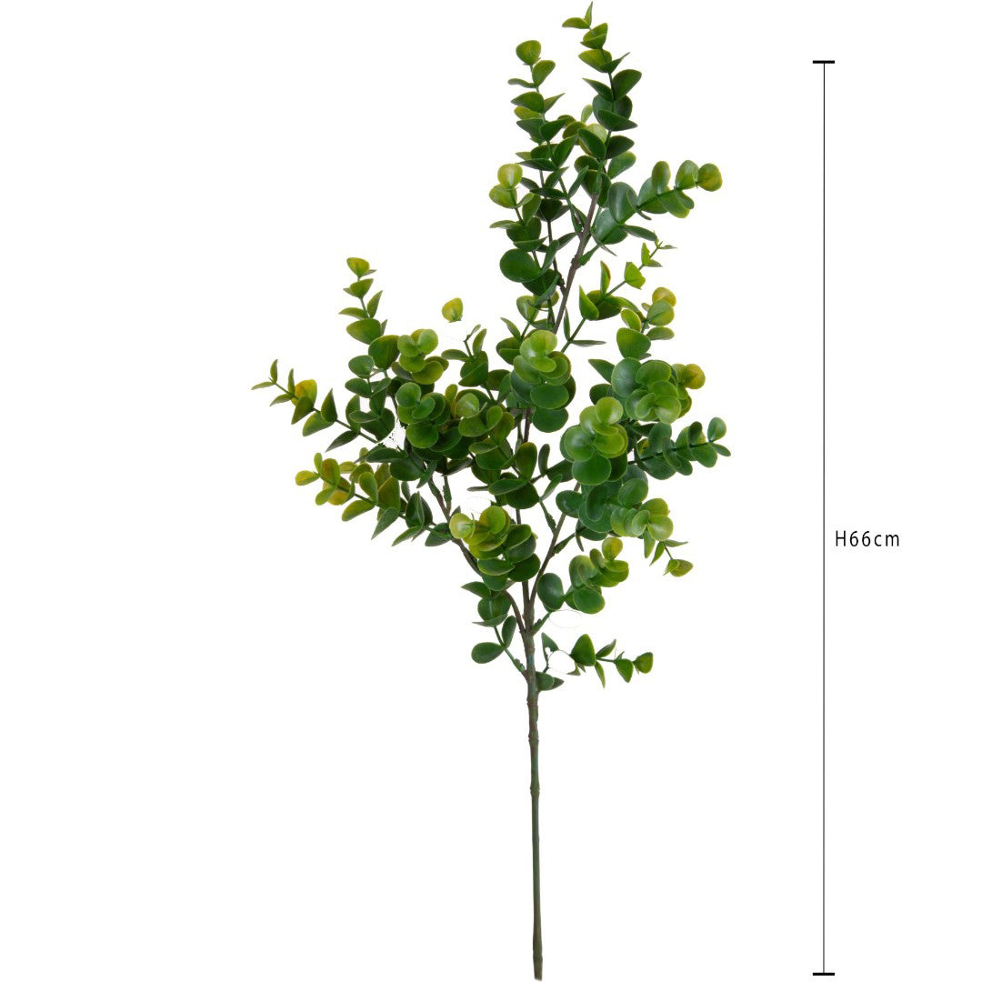 Eucalipto Ramo per 3 • 66 cm