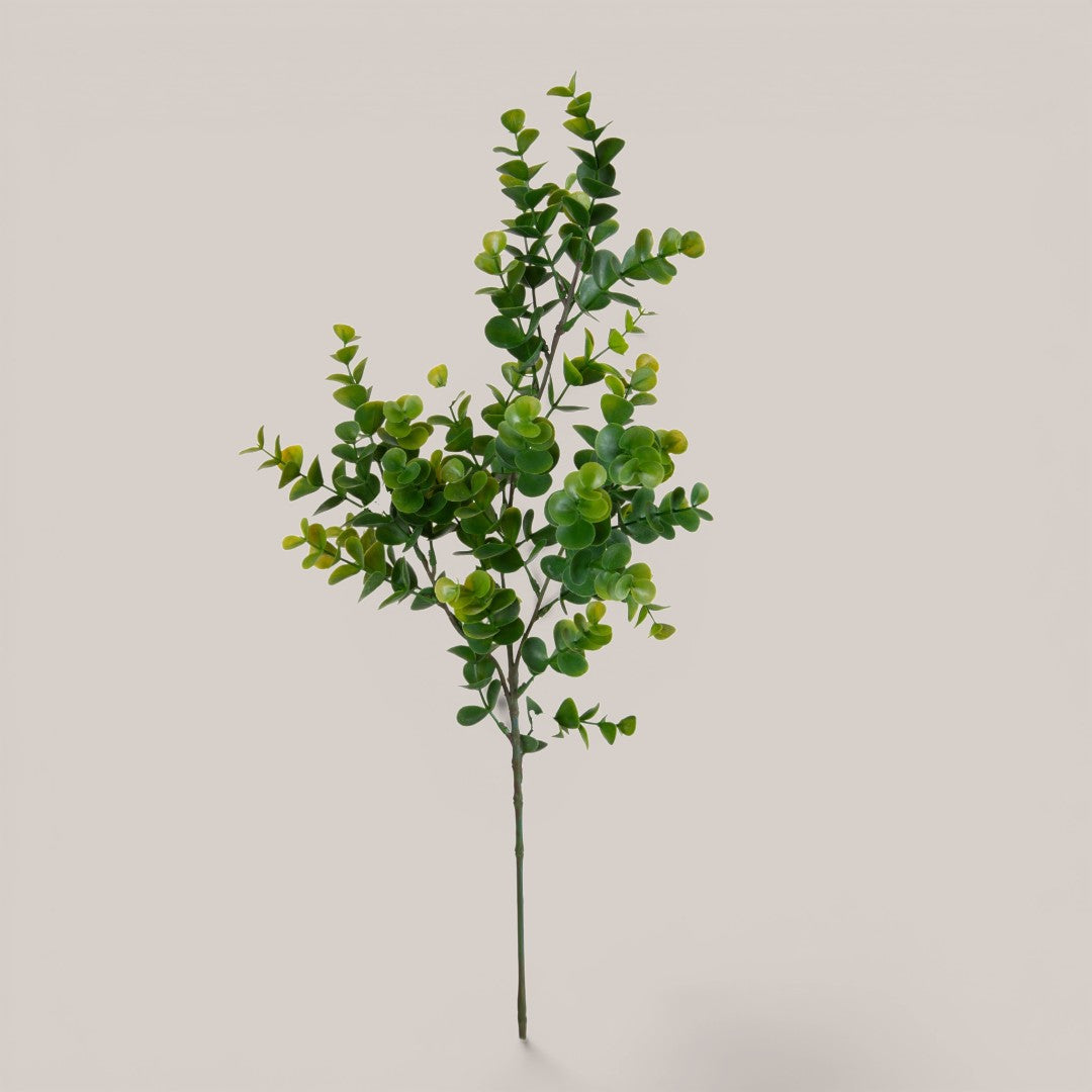 Eucalipto Ramo per 3 • 66 cm