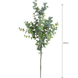Eucalipto Ramo per 3 • 66 cm