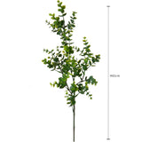 Mini Eucalipto per 3 Rami • 65 cm